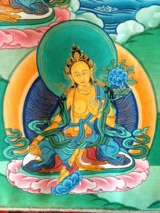 TARA_20_OK_SM_IMG_4277